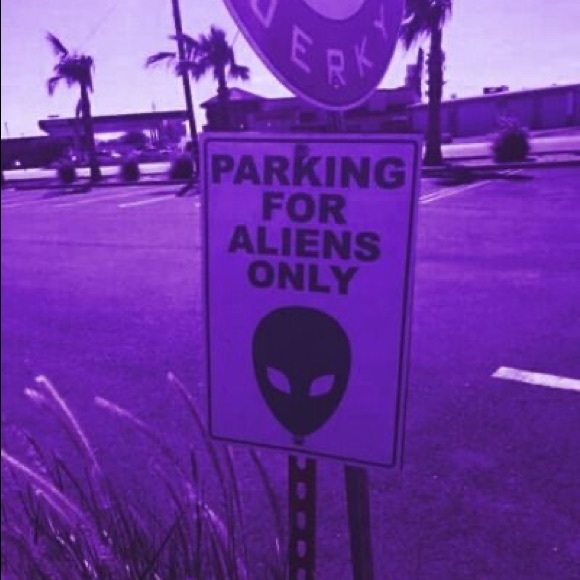 Meet your Posher, Luna - Picture 4 of 5